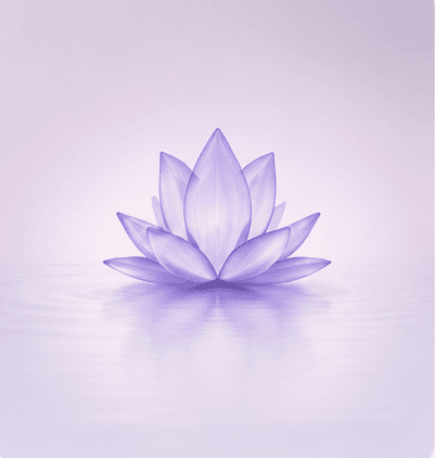 Purple lotus representing the Align journey